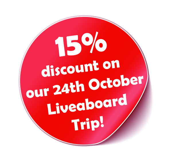Raja Ampat Discount