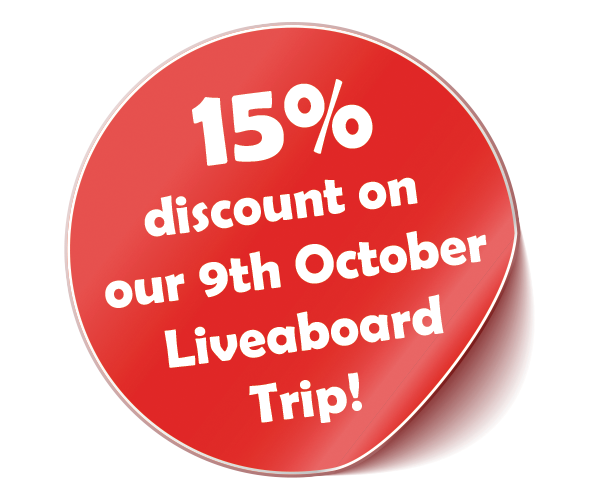 Raja Ampat Discount
