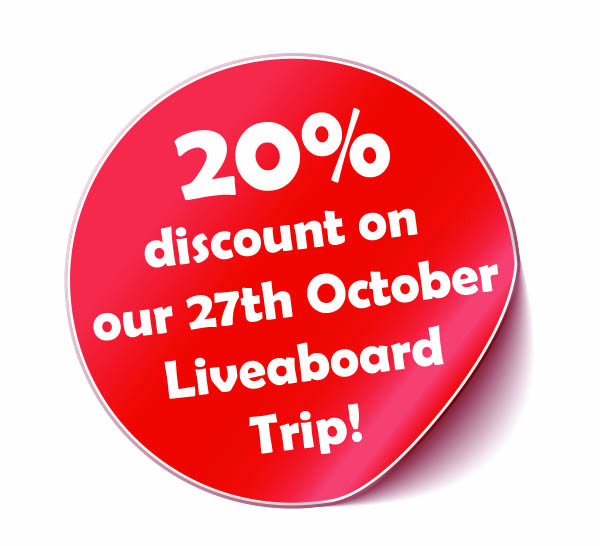 Raja Ampat Liveaboard discounts